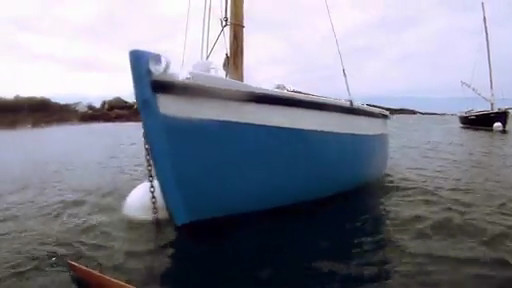 Fauve, la mer
